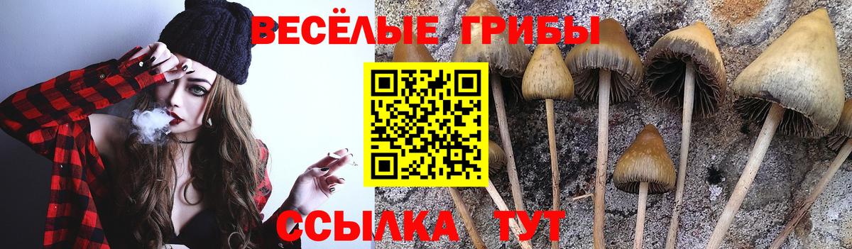 Галлюциногенные грибы ЛСД Ленинск-Кузнецкий